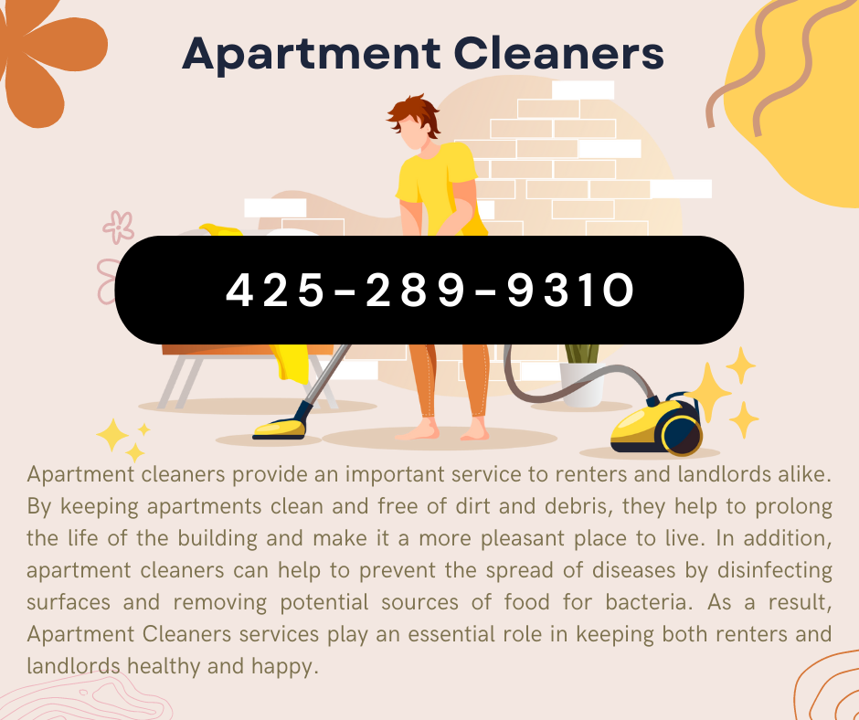 Navigating the Challenges of a Cleaning Service Startup